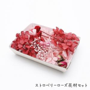 スミレカラー花材セット プリザーブドフラワー手芸クラフト ハー