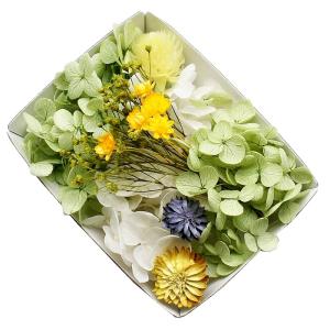 アップルグリーン花材セット 手芸クラフト ハーバリウム花材 アロマワックスバー プリザーブドフラワー アジサイ 千日紅