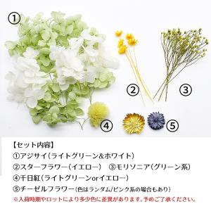 アップルグリーン花材セット 手芸クラフト ハー...の詳細画像1