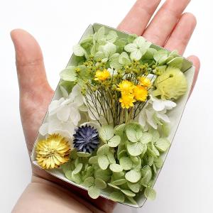 アップルグリーン花材セット 手芸クラフト ハー...の詳細画像2