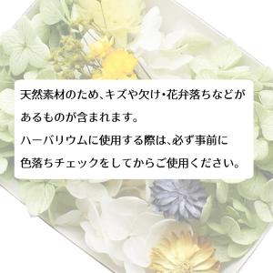 アップルグリーン花材セット 手芸クラフト ハー...の詳細画像3