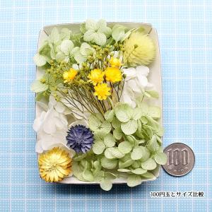 アップルグリーン花材セット 手芸クラフト ハー...の詳細画像4