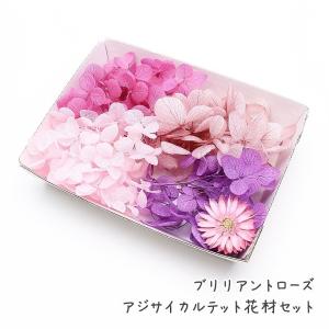 ハーバリウム花材 ブルームーン花材セット 1ケース : あとりえ