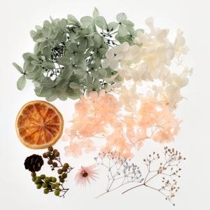 ハーバリウム花材 アンティークオレンジ花材セッ...の詳細画像1