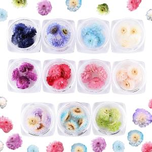 ハーバリウム花材 イモーテル 4輪[全12種] ...の商品画像