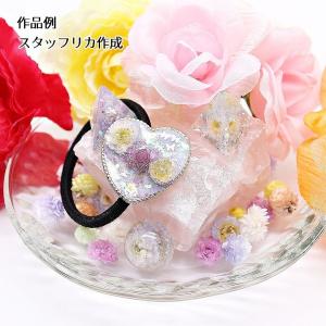 ハーバリウム花材 イモーテル 4輪[全12種]...の詳細画像1
