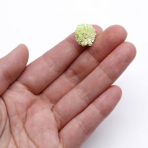 ハーバリウム花材 イモーテル 4輪[全12種]...の詳細画像2