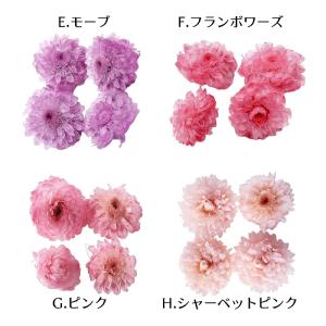 ハーバリウム花材 イモーテル 4輪[全12種]...の詳細画像5