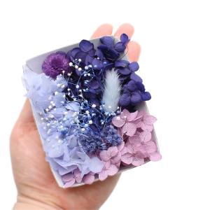 ハーバリウム花材 ブルームーン花材セット 1ケースの詳細画像1