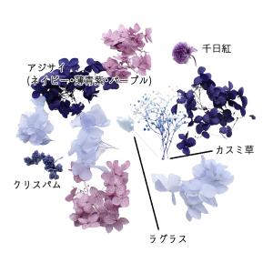 ハーバリウム花材 ブルームーン花材セット 1ケースの詳細画像2