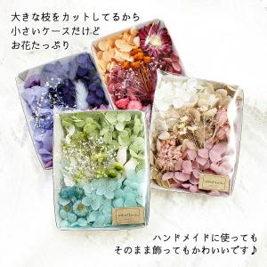 ハーバリウム花材 ブルームーン花材セット 1ケースの詳細画像3