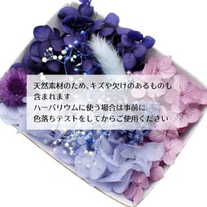 ハーバリウム花材 ブルームーン花材セット 1ケースの詳細画像4