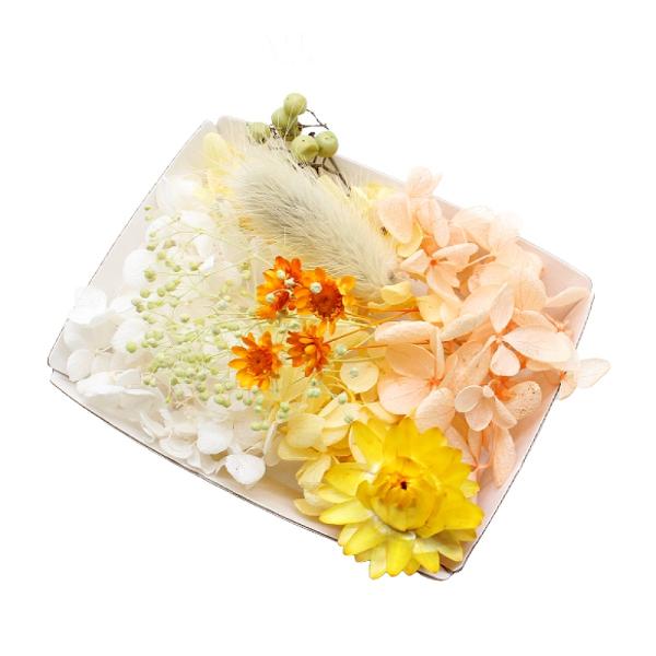 ハーバリウム花材 アプリコットミルク花材セット 1ケース