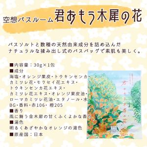 入浴剤 空想バスルーム 日本製 30g 1個【...の詳細画像1