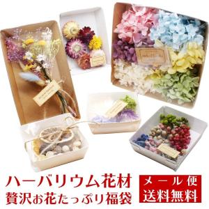 【メール便送料無料】ハーバリウム花材 贅沢お花たっぷり福袋