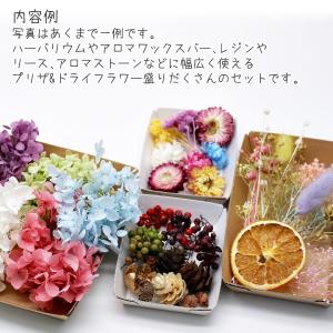 【メール便送料無料】ハーバリウム花材 贅沢お花...の詳細画像1