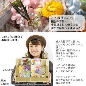 【メール便送料無料】ハーバリウム花材 贅沢お花...の詳細画像3