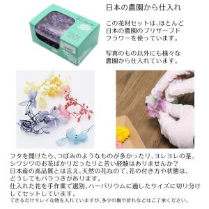 【メール便送料無料】ハーバリウム花材 贅沢お花...の詳細画像4