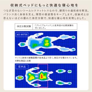 電動ベッド 2モーター 収納式 プレミアムベッ...の詳細画像2