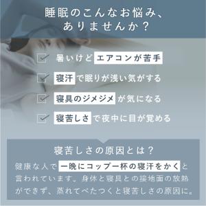 【公式店P10倍】快眠マット SOYO シング...の詳細画像1