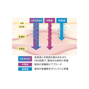 EMS 腹筋 EMSベルト ネクサ AX-FR...の詳細画像3