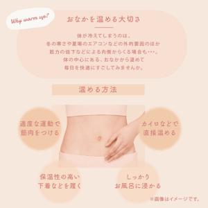 フェムオンテック 温プレート AX-FRL91...の詳細画像1