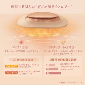 フェムオンテック 温プレート AX-FRL91...の詳細画像2