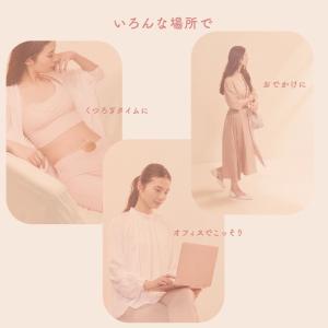 フェムオンテック 温プレート AX-FRL91...の詳細画像5