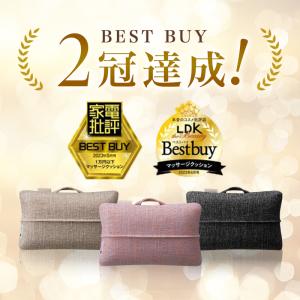 マッサージクッション ミニ AX-HCL318...の詳細画像1