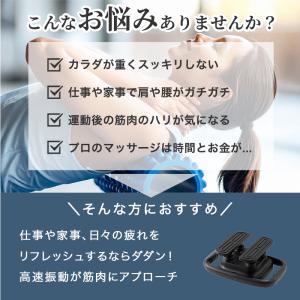 振動マシン 振動マッサージャー カラダダン A...の詳細画像2