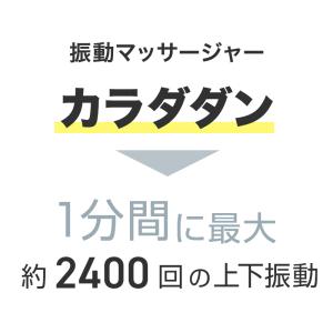 振動マシン 振動マッサージャー カラダダン A...の詳細画像4