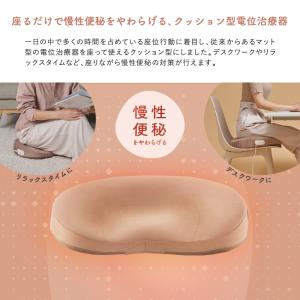 家庭用 電位治療器 フェムオンテック 暖 クッ...の詳細画像1
