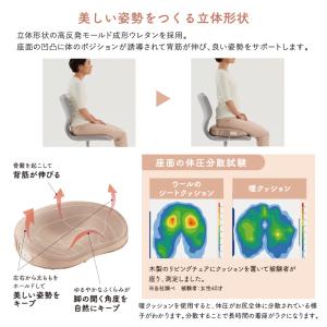家庭用 電位治療器 フェムオンテック 暖 クッ...の詳細画像4