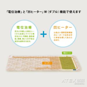 家庭用 電位治療器 イオネス アルファ シング...の詳細画像1