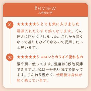 火を使わない 電気式 アテックス ルルド フェ...の詳細画像2