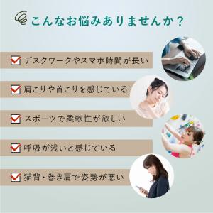 肩甲骨 ストレッチギア AX-HX264 電動...の詳細画像1