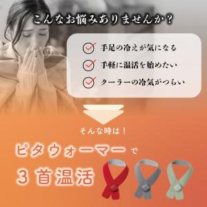ネックウォーマー ピタウォーマー 首 AX-H...の詳細画像2