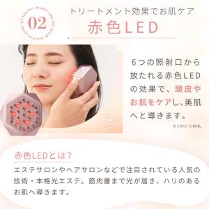 EMSリフトブラシ AX-NBL506 アテッ...の詳細画像5