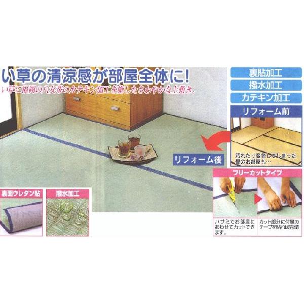 暑い夏も快適♪カテキン和加工い草フリーカット上敷き3畳用
