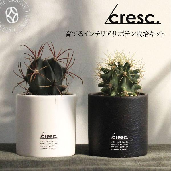 育てるインテリア クレッシェンド サボテン栽培キット cresc. 観葉植物 種から育てる 植物 プ...