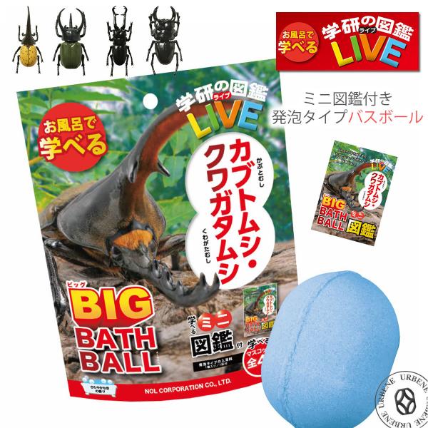 学研の図鑑ライブLIVE カブトムシ＆クワガタ BIG バスボール さわやかな空の香り お風呂で学べ...