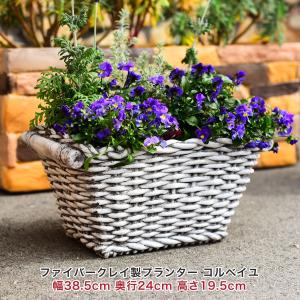 茶道具 花入 置用 信楽焼 耳付 上田光春作 古来窯 置き花入 置花入