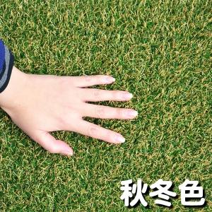 人工芝 ロール 10m 色までリアルな人工芝 ...の詳細画像2