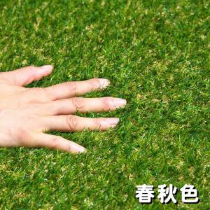 人工芝 ロール 10m 色までリアルな人工芝 ...の詳細画像3