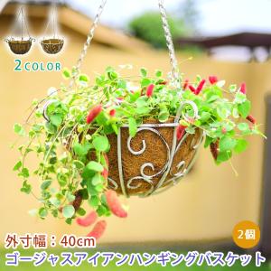 ハンギングバスケット ガーデニング用バスケット ゴージャスアイアン