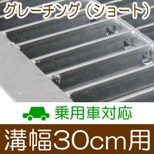 幅30cm溝用グレーチング 長さ1m（995mm）×25mm厚 乗用車 : ガーデン