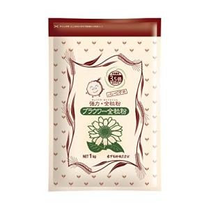 木下製粉 ブラウワー全粒粉 1kg × 3袋 パン用 小麦粉 強力粉