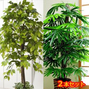 大型グリーンインテリア 人工観葉植物 造花 観葉植物 ベンジャミン 観音竹セット 同梱不可 代引き不可 Purrworld Com