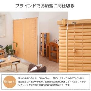 キャスター付きブラインドパーテーション ダブル...の詳細画像4