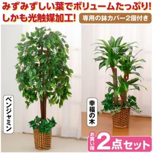 フェイクグリーン 人工観葉植物 インテリアグリーン 2点セット ベンジャミン 幸福の木 同梱不可 代引き不可 Www Mohmmadiyon Com